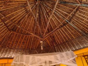 Eco tent lodge