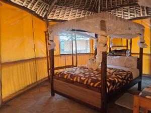 Eco tent lodge