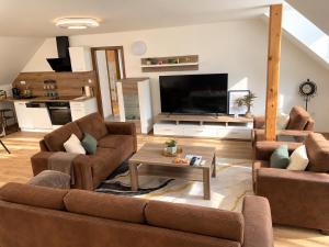 Elysian 3 apartment - TEAM