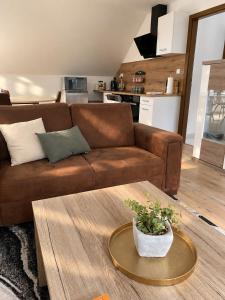 Elysian 3 apartment - TEAM