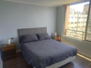 Oferta noclegów 17203975