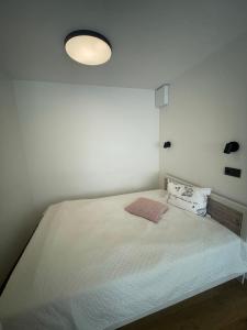 Adomas Apartment Vilk