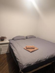 Oferta noclegów 17199469