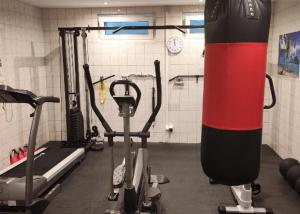 Oferta noclegów 17204229