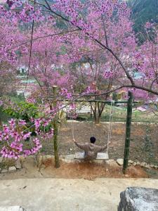 Nest Hill Retreat - A peaceful retreat on a hill