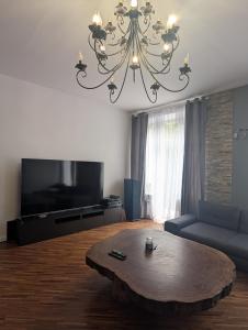 Oferta noclegów 17199469