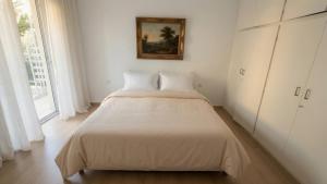 Oferta noclegów 17204462
