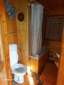 Oferta noclegów 17204486