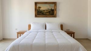 Oferta noclegów 17204581