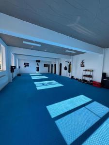 Training Sport Camp