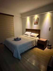 Oferta noclegów 17204734