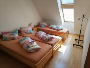 Oferta noclegów 17204717