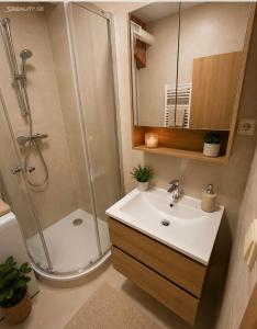 Cozy Smíchov Apartments