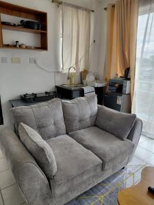 Haven apartments