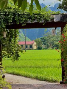 Đến Nơi Có Gió - Homestay And Coffee