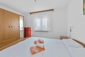 Oferta noclegów 17205054