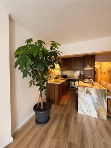 Mid-Term Stay in Ortakoy Besiktas