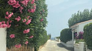 LA CALMA Espectacular villa con jardín y piscina en Menorca