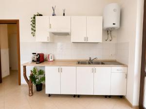 Oferta noclegów 17205756