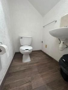 Oferta noclegów 17205774