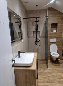 Oferta noclegów 17205805