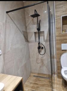 Oferta noclegów 17205805