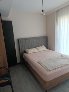 Oferta noclegów 17205832