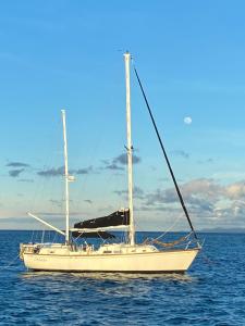 Splendid Sailboat Privado