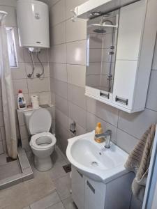 Oferta noclegów 17205923