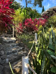 Jangle House with big terrace in Altos del Maria