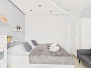 Oferta noclegów 17206236