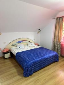 Oferta noclegów 17206563