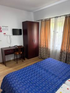 Oferta noclegów 17206563