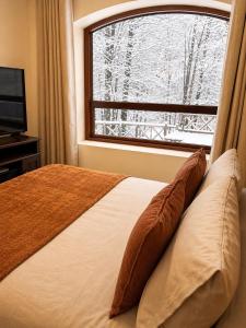 DEPTO PREMIUM Y EXCLUSIV0 en nevados de Chillan, a pasos del centro de ski y piscinas de aguas termales, vista a la montaña y mucho mas 1