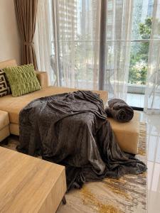 "Beautiful luxurious spacious apartment with amazing amenities