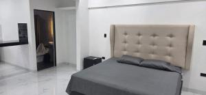 Cadereyta apartment with mini-split, king bed #K