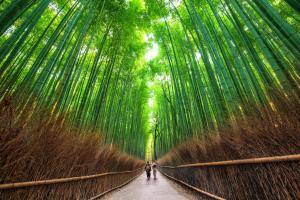 SOSHIJI Arashiyama