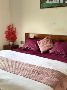 Nisarg Forever Retreat Alibaug