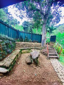 Kothmale Inn Villa