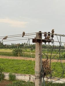 Sri Karthikeya HomeStay Mopidevi