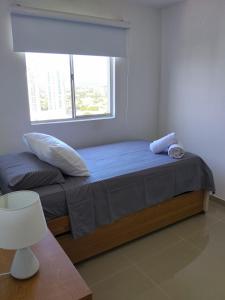 Oferta noclegów 17207959