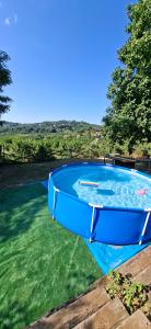 Hacienda Guster