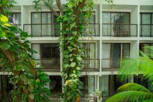 Hotel Blanco Tulum Adults Only