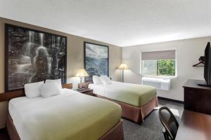Super 8 by Wyndham Elkins