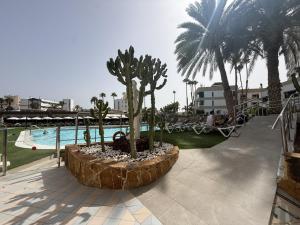 koka 03, playa y piscina