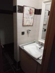 Oferta noclegów 17208178