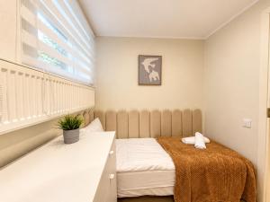 Oferta noclegów 17204799