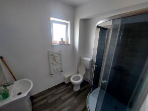 Oferta noclegów 17208187