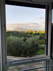 Loft vicino Roma con terrazzo e giardino privato