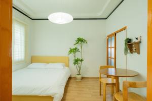 Oferta noclegów 17208468